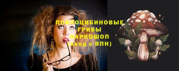 а пвп мука Гусиноозёрск