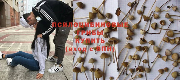 синтетический гашиш Гусев