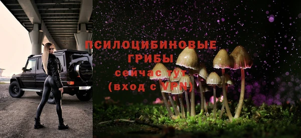 MESCALINE Гусь-Хрустальный