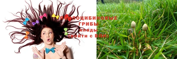 синтетический гашиш Гусев
