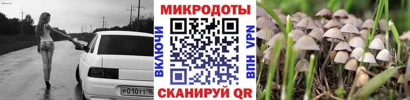 дарк нет Telegram  где продают наркотики  Болгар  Псилоцибиновые грибы Cubensis 